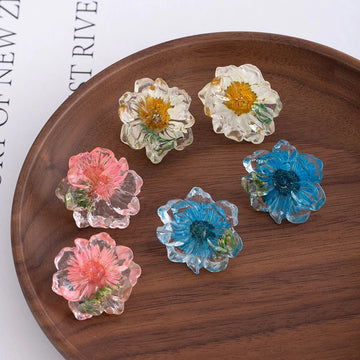 Daiiibabyyy  Dried Daisy Transparent Resin Stud Earrings for Women Exquisite Sweet Ear Studs Cute Daily Casual Versatile Jewelry Gifts 2025